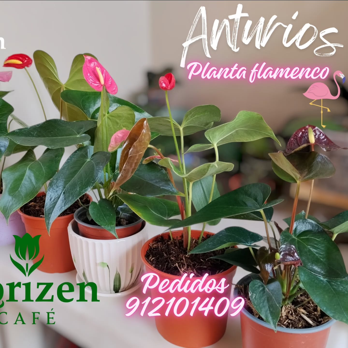 Publicación de Florizen Café en Instagram