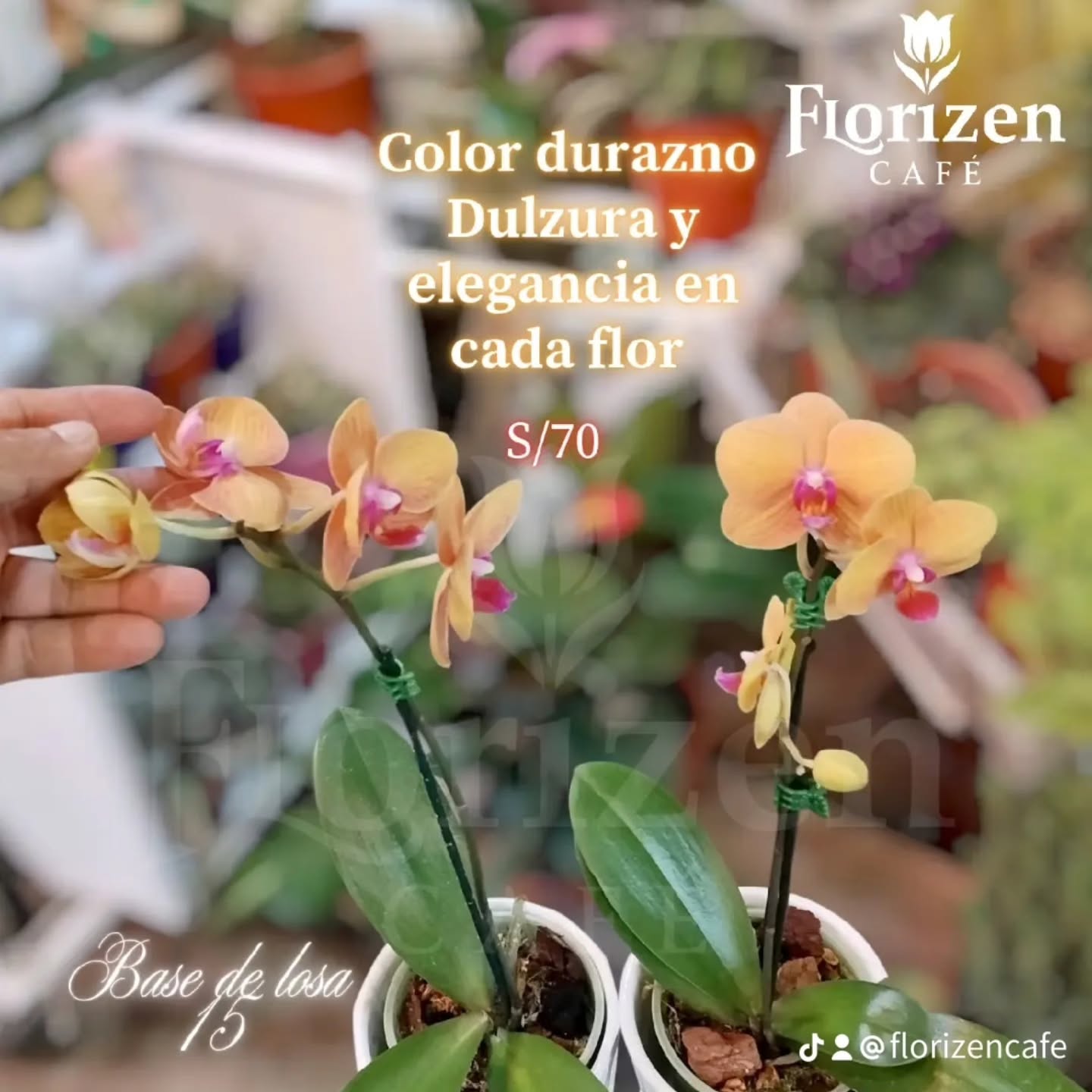 Publicación de Florizen Café en Instagram